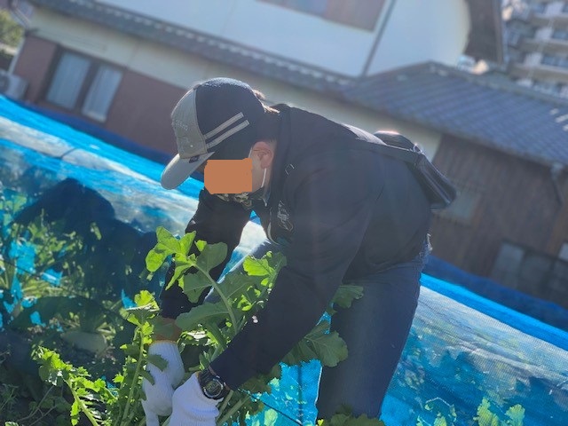 ひらかた3